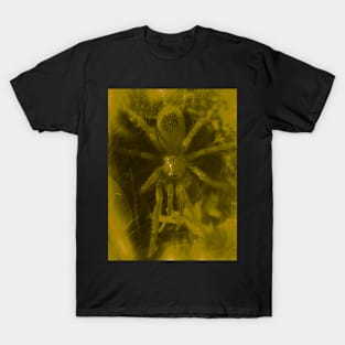 Tarantula Spiderling V6 T-Shirt